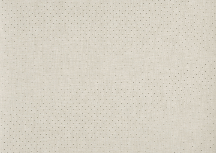 Oxford, Canvas - Fabric Only - Image 3